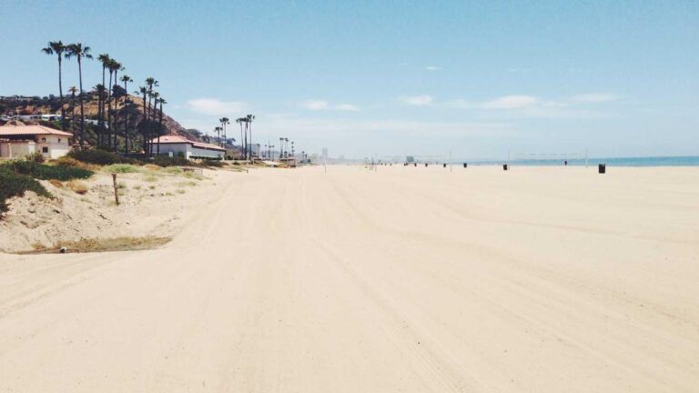 Are There Special Rewards In The 99Exch Seasonal Offer?